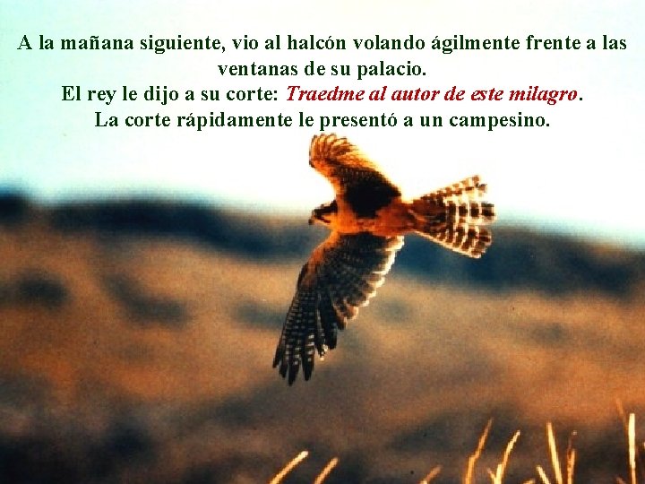A la mañana siguiente, vio al halcón volando ágilmente frente a las ventanas de A la mañana siguiente, vio al halcón volando ágilmente frente a las ventanas de