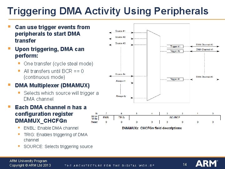 Triggering DMA Activity Using Peripherals § Can use trigger events from peripherals to start Triggering DMA Activity Using Peripherals § Can use trigger events from peripherals to start