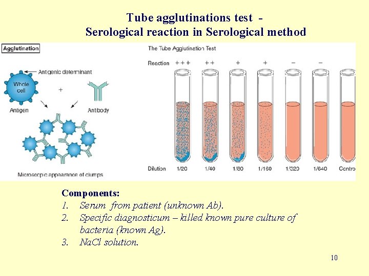 Tube agglutinations test Serological reaction in Serological method Components: 1. Serum from patient (unknown