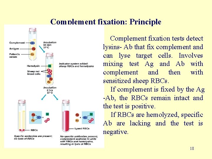 Complement fixation: Principle Complement fixation tests detect lysins- Ab that fix complement and can