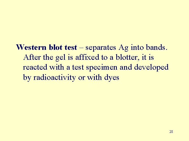 Western blot test – separates Ag into bands. After the gel is affixed to