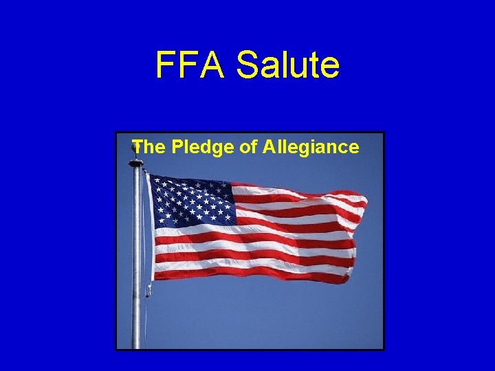 FFA Salute The Pledge of Allegiance 