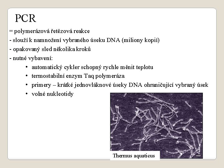 PCR = polymerázová řetězová reakce - slouží k namnožení vybraného úseku DNA (miliony kopií)
