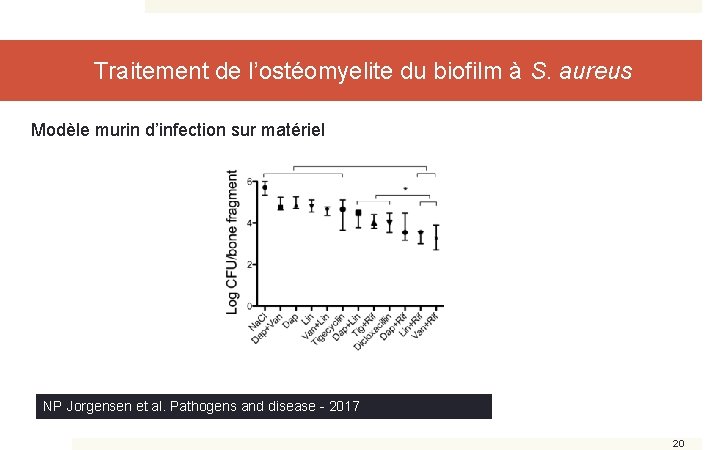 Traitement de l’ostéomyelite du biofilm à S. aureus Modèle murin d’infection sur matériel NP