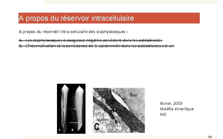 A propos du réservoir intracellulaire A propos du réservoir intra-cellulaire des staphylocoques : A.