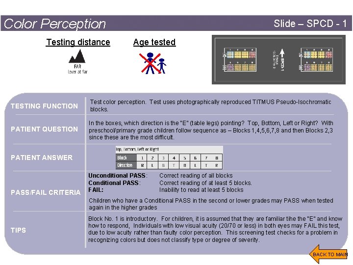 Color Perception Testing distance Slide – SPCD - 1 Age tested TESTING FUNCTION Test