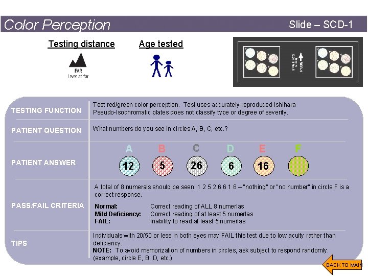 Color Perception Slide – SCD-1 Testing distance Age tested TESTING FUNCTION Test red/green color
