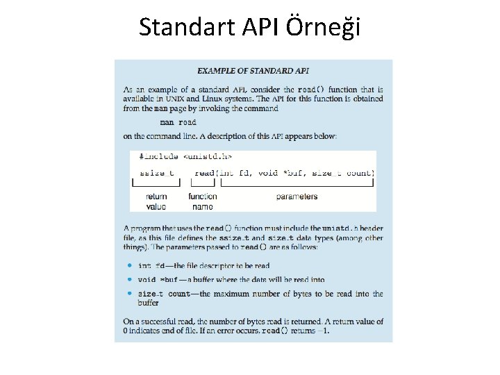 Standart API Örneği 