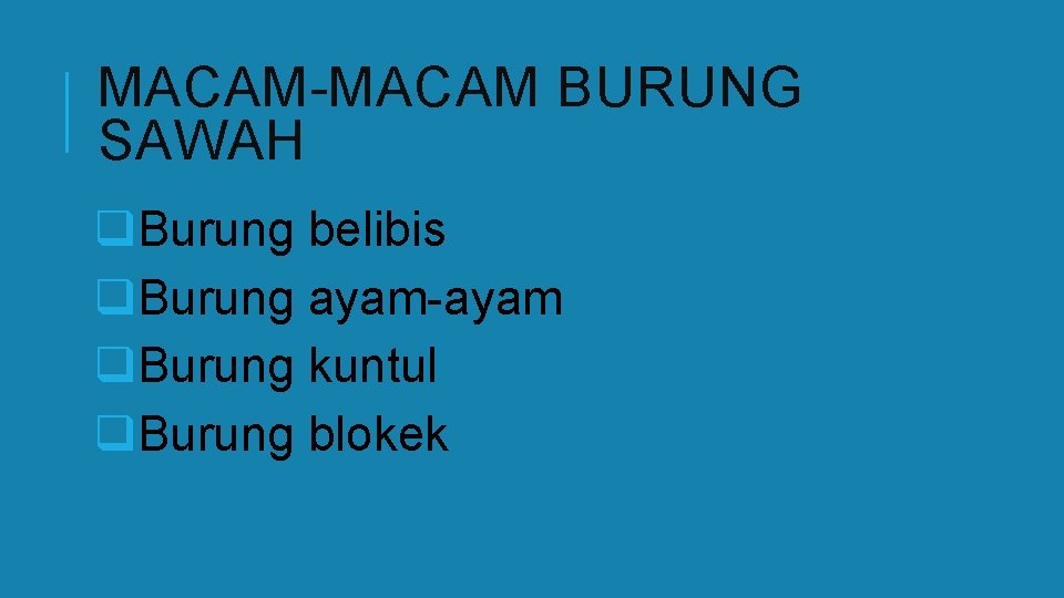 MACAM-MACAM BURUNG SAWAH q. Burung belibis q. Burung ayam-ayam q. Burung kuntul q. Burung