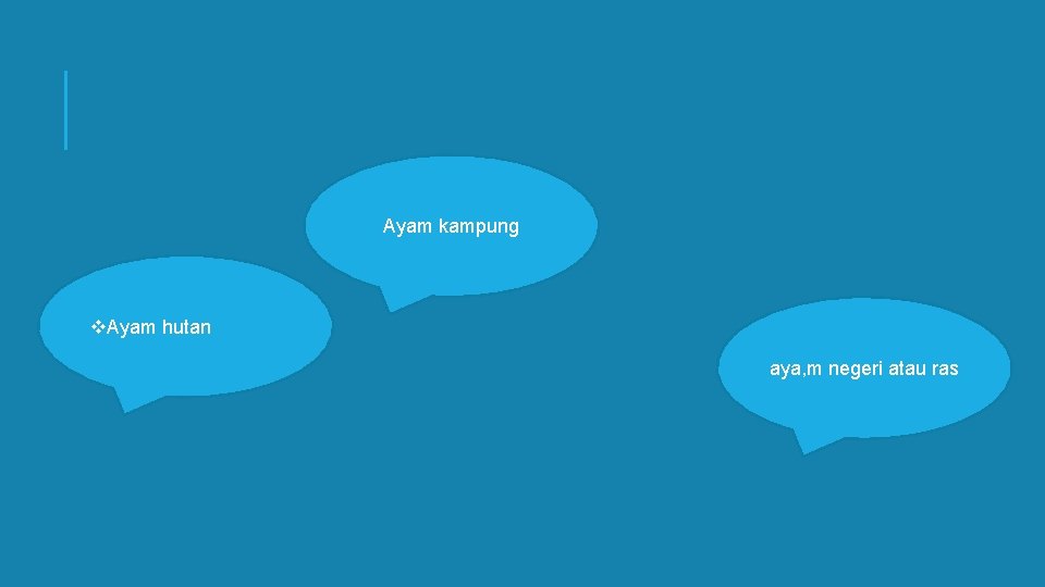 Ayam kampung v. Ayam hutan aya, m negeri atau ras 