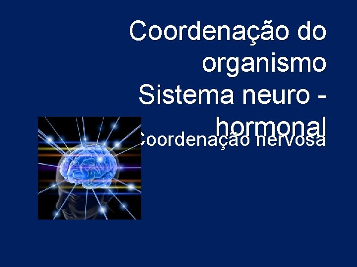 Coordenação do organismo Sistema neuro hormonal Coordenação nervosa 