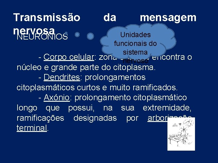 Transmissão nervosa NEURÓNIOS da mensagem Unidades funcionais do sistema - Corpo celular: zona onde