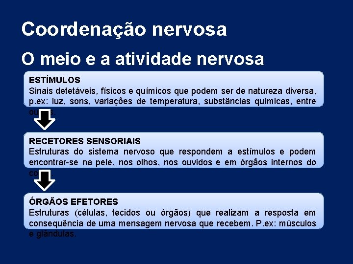 Coordenação nervosa O meio e a atividade nervosa ESTÍMULOS Sinais detetáveis, físicos e químicos