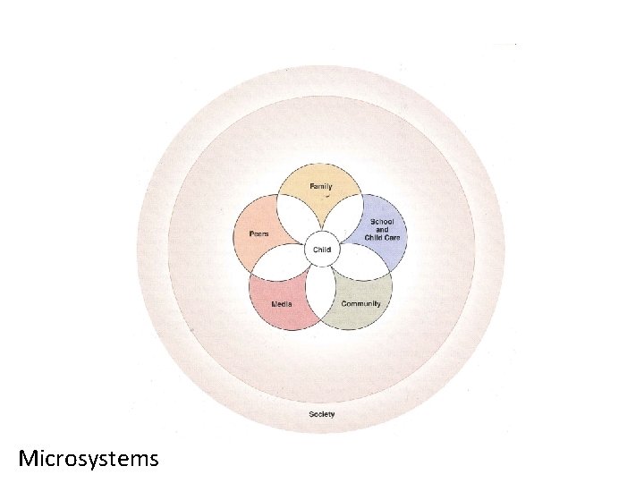 Microsystems 
