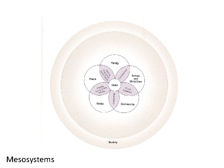 Mesosystems 