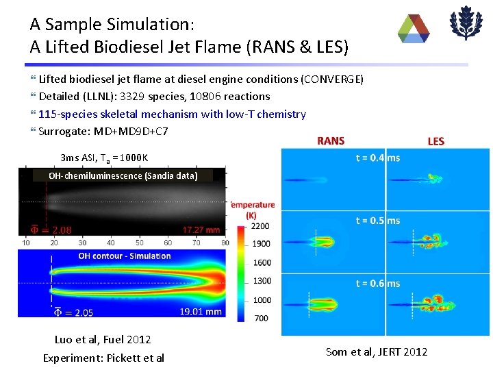 A Sample Simulation: A Lifted Biodiesel Jet Flame (RANS & LES) Lifted biodiesel jet