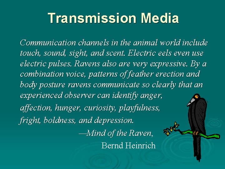 Transmission Media Communication channels in the animal world include touch, sound, sight, and scent. Transmission Media Communication channels in the animal world include touch, sound, sight, and scent.