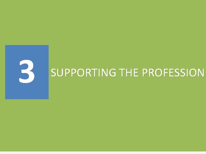 3 SUPPORTING THE PROFESSION 
