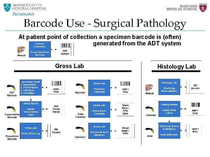 HARVARD MEDICAL SCHOOL Barcode Use - Surgical Pathology At patient point of collection a HARVARD MEDICAL SCHOOL Barcode Use - Surgical Pathology At patient point of collection a