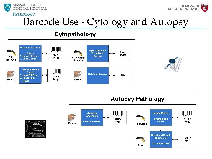 HARVARD MEDICAL SCHOOL Barcode Use - Cytology and Autopsy Cytopathology Autopsy Pathology HARVARD MEDICAL SCHOOL Barcode Use - Cytology and Autopsy Cytopathology Autopsy Pathology
