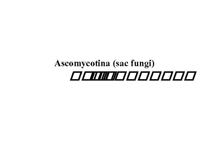 Ascomycotina (sac fungi) ���� �� ���� 
