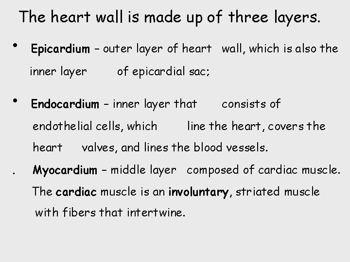 The heart wall is made up of three layers. • Epicardium – outer layer