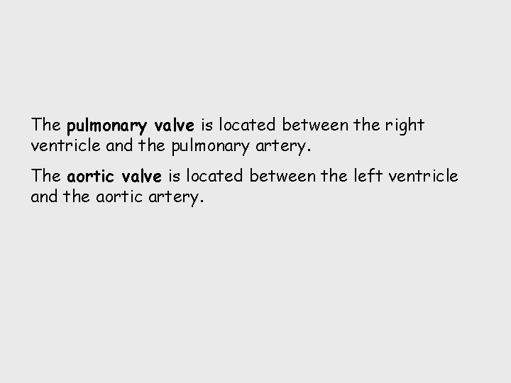 The pulmonary valve is located between the right ventricle and the pulmonary artery. The