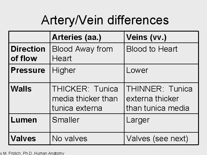 Artery/Vein differences Arteries (aa. ) Direction Blood Away from of flow Heart Pressure Higher