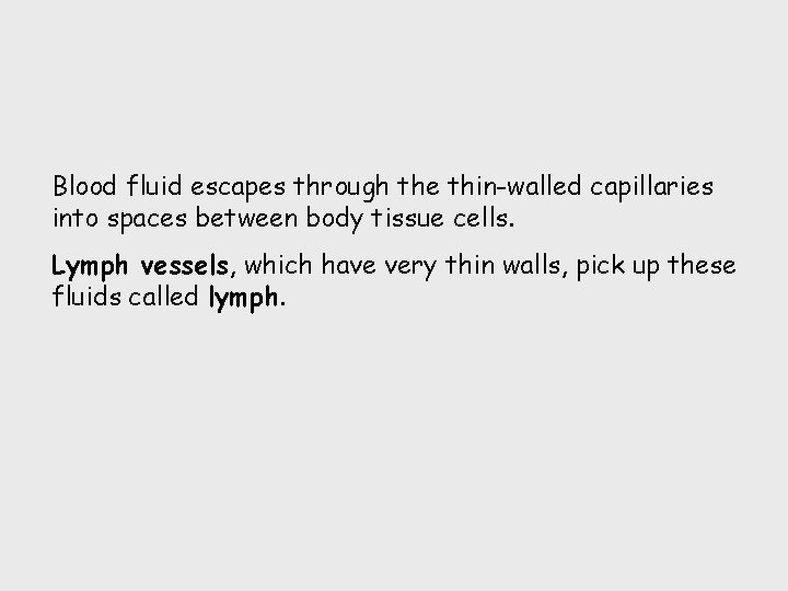 Blood fluid escapes through the thin-walled capillaries into spaces between body tissue cells. Lymph