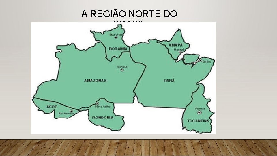 A REGIÃO NORTE DO BRASIL 