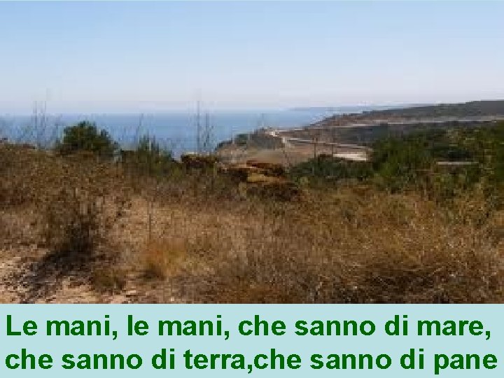 Le mani, le mani, che sanno di mare, che sanno di terra, che sanno