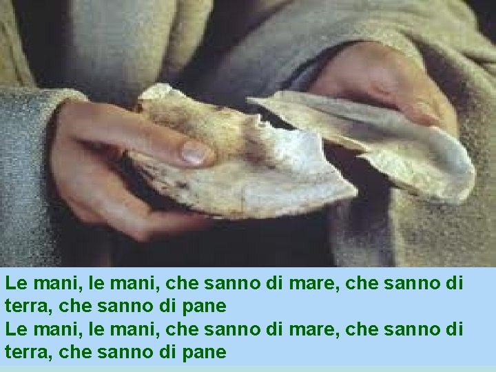 Le mani, le mani, che sanno di mare, che sanno di terra, che sanno