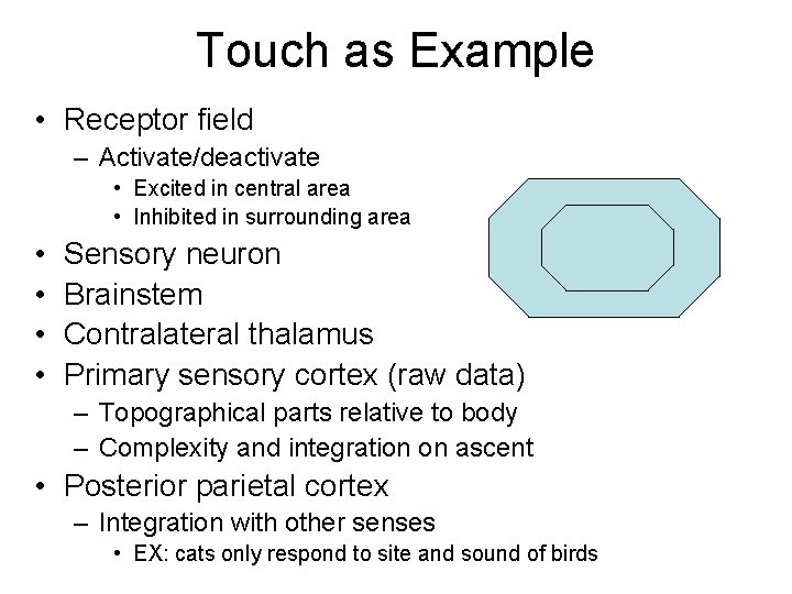 Touch as Example • Receptor field – Activate/deactivate • Excited in central area •