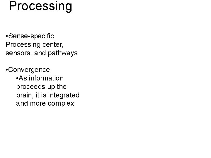 Processing • Sense-specific Processing center, sensors, and pathways • Convergence • As information proceeds