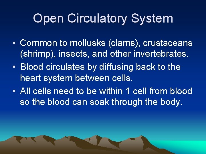 Open Circulatory System • Common to mollusks (clams), crustaceans (shrimp), insects, and other invertebrates.