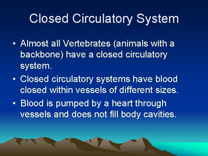 Closed Circulatory System • Almost all Vertebrates (animals with a backbone) have a closed