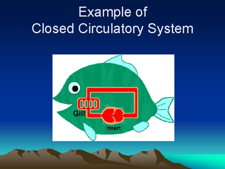 Example of Closed Circulatory System 