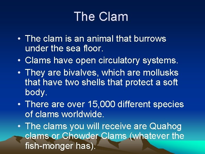 The Clam • The clam is an animal that burrows under the sea floor.