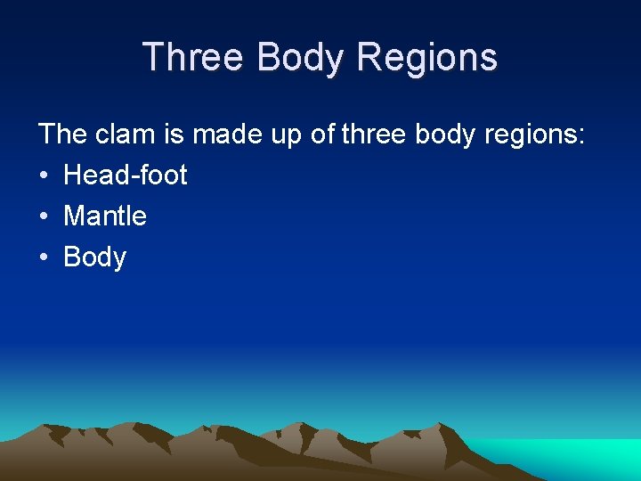 Three Body Regions The clam is made up of three body regions: • Head-foot