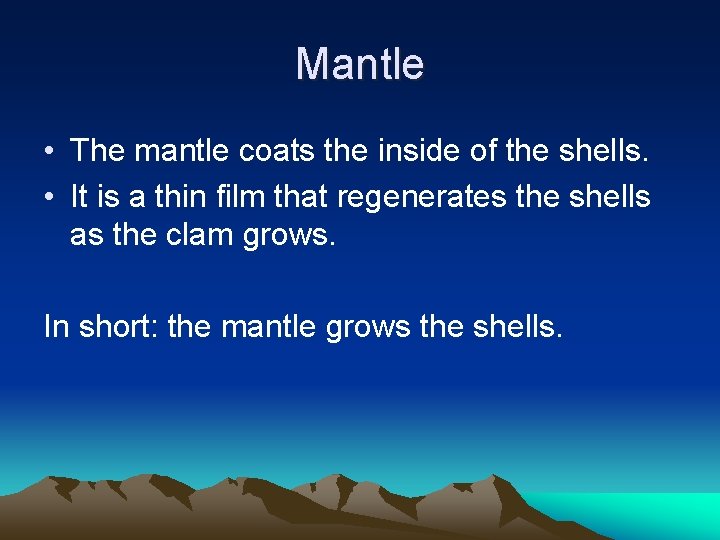 Mantle • The mantle coats the inside of the shells. • It is a