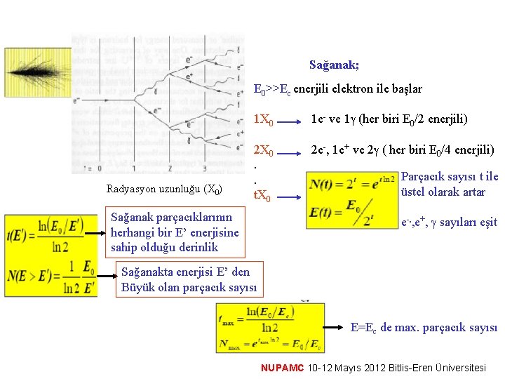 Sağanak; E 0>>Ec enerjili elektron ile başlar Radyasyon uzunluğu (X 0) 1 X 0