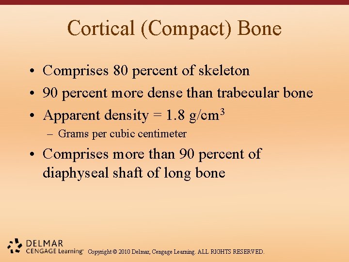 Cortical (Compact) Bone • Comprises 80 percent of skeleton • 90 percent more dense