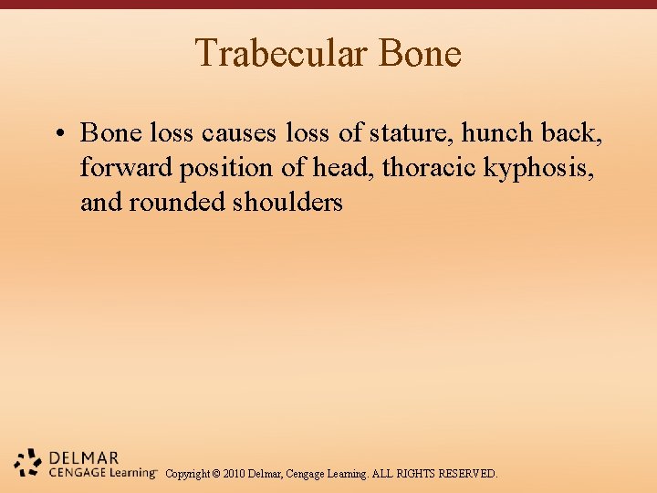 Trabecular Bone • Bone loss causes loss of stature, hunch back, forward position of