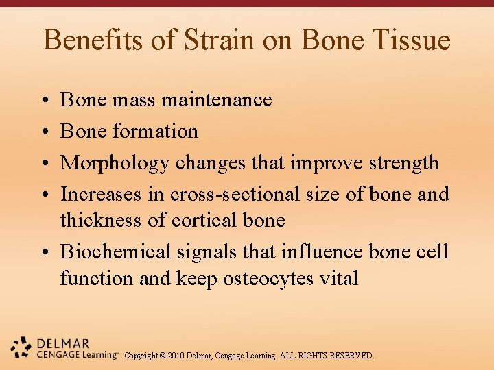 Benefits of Strain on Bone Tissue • • Bone mass maintenance Bone formation Morphology
