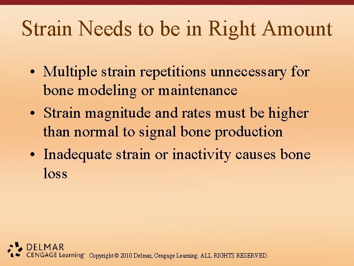 Strain Needs to be in Right Amount • Multiple strain repetitions unnecessary for bone