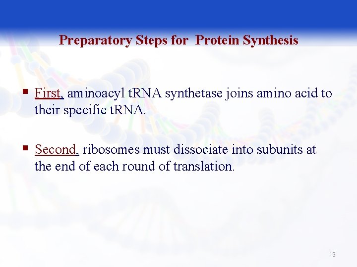 Preparatory Steps for Protein Synthesis § First, aminoacyl t. RNA synthetase joins amino acid