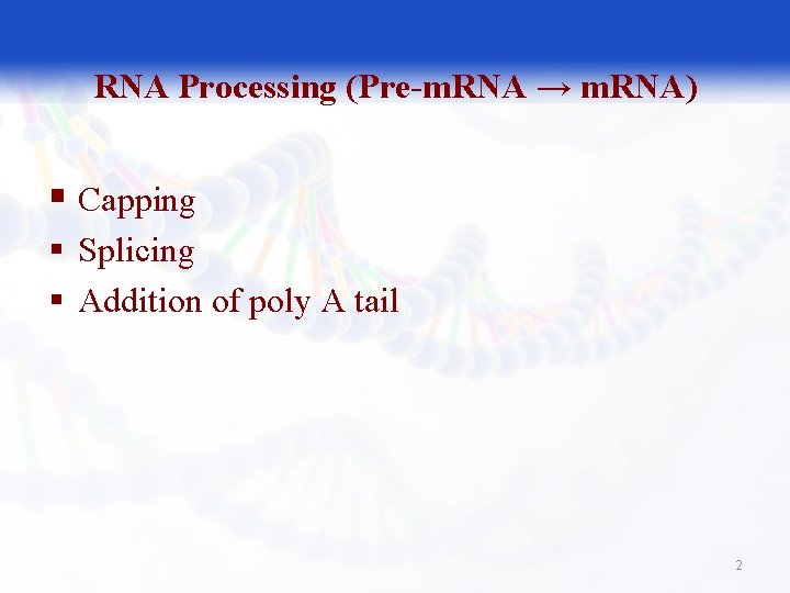 RNA Processing (Pre-m. RNA → m. RNA) § Capping § Splicing § Addition of