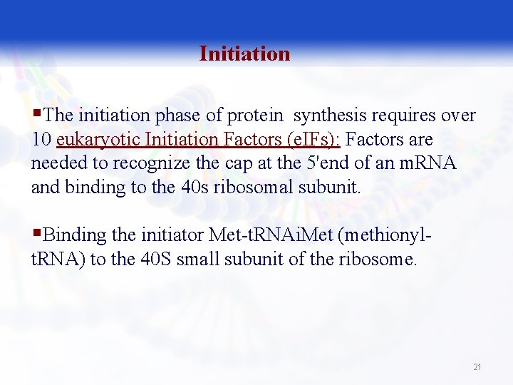Initiation §The initiation phase of protein synthesis requires over 10 eukaryotic Initiation Factors (e.