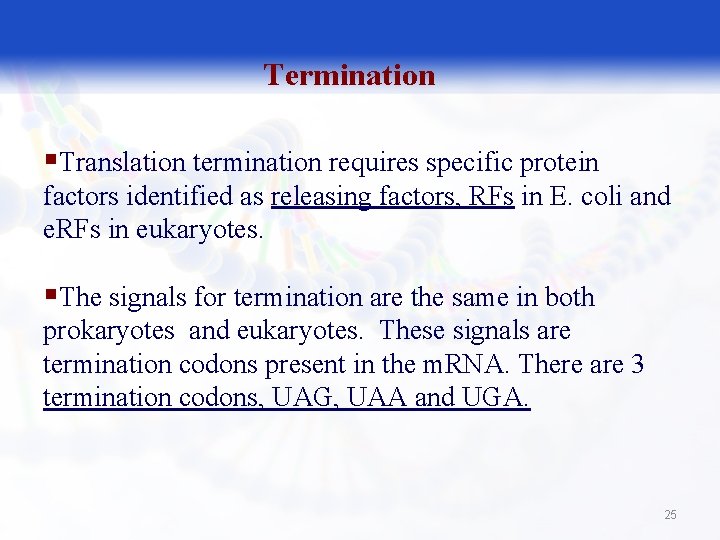 Termination §Translation termination requires specific protein factors identified as releasing factors, RFs in E.