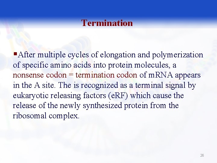 Termination §After multiple cycles of elongation and polymerization of specific amino acids into protein